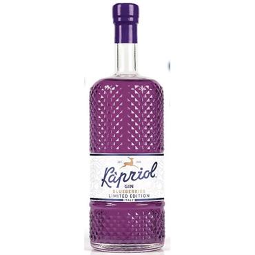 Gin Mirtillo 0,70lt Kapriol