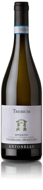 Trebium Antonelli