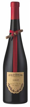 Merlot Italo Cescon