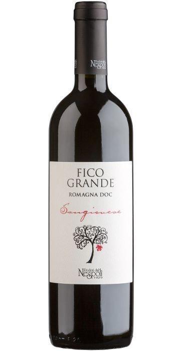 Fico Grande Nespoli