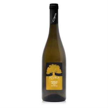 Pomedes Bianco Scubla
