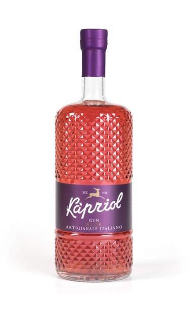 Gin Sloe 0,70lt Kapriol