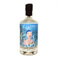 Gin 0,70lt Primo