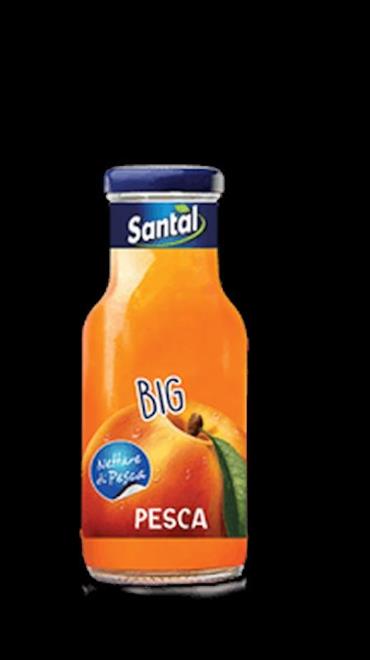 Succo Pesca Big 0,25lt X24 Santàl