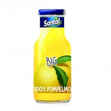Succo Pompelmo Big 0,25lt X24 Santàl