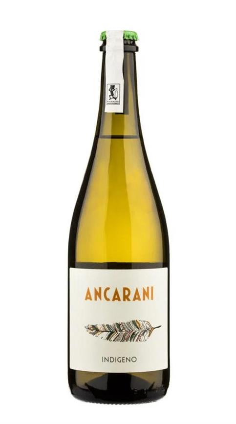 Trebbiano Indigeno Ancarani