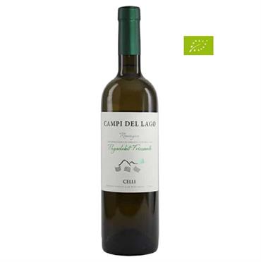 Pagadebit Frizzante Campi Del Lago Celli