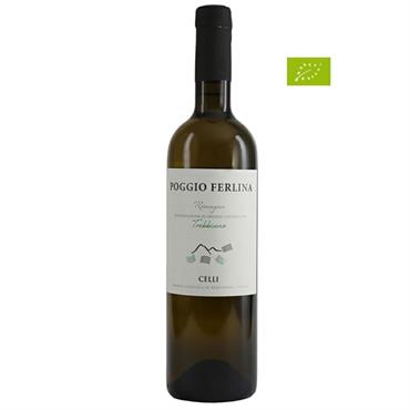 Trebbiano Poggio Ferlina Celli