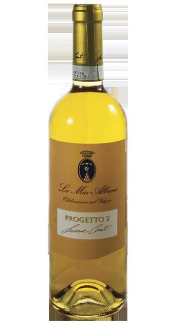 Progetto 2 Leone Conti