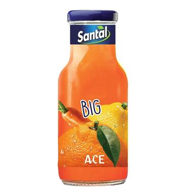 Succo Ace Big 0,25lt X24 Santàl