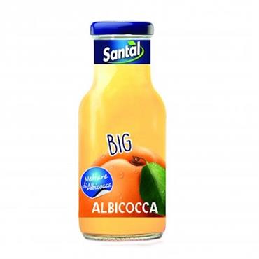 Succo Albicocca Big 0,25lt X24 Santàl
