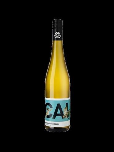 Cai Immich-Batterieberg
